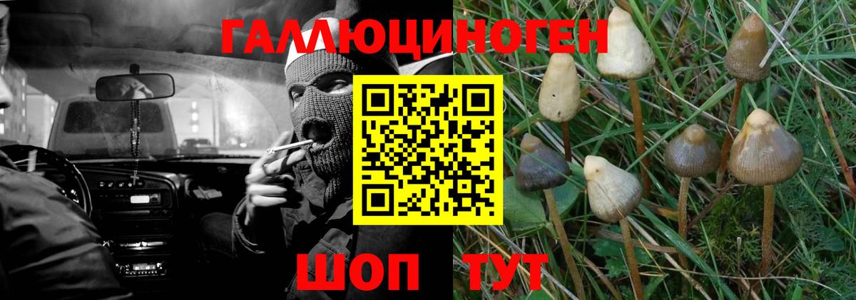 Псилоцибиновые грибы прущие грибы  Вход с VPN  Фролово 