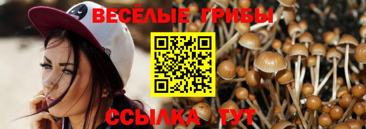 Псилоцибиновые грибы Cubensis Фролово